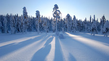 Escandinavia Bosque Nevado 0